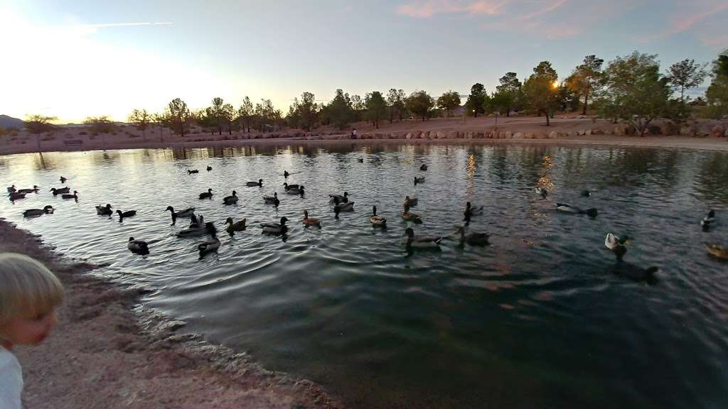 Boulder City Memorial park Pond | Boulder City, NV 89005, USA