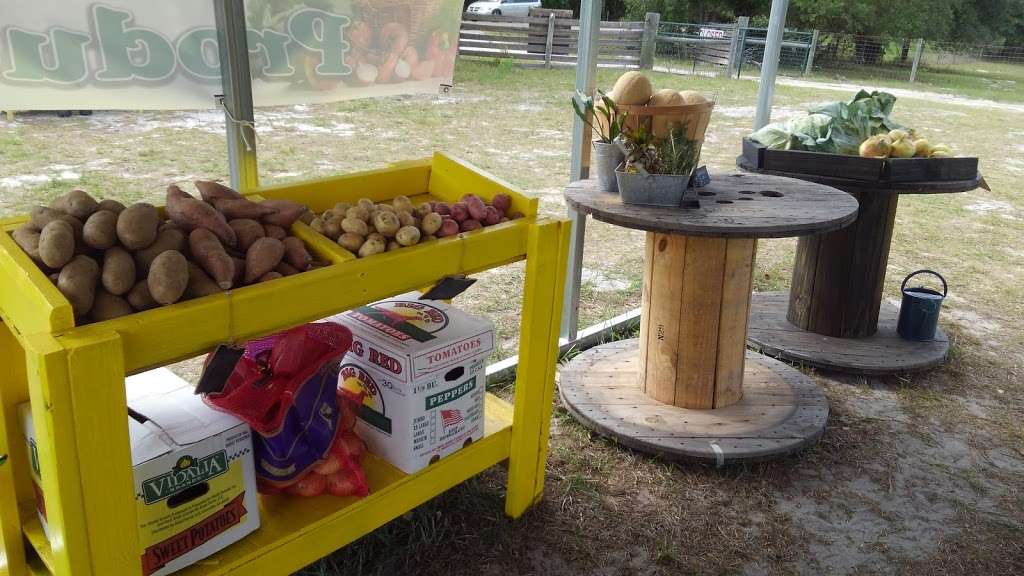 Dyess Family Farms/Fresh Produce | 5207, 1779 FL-471, Sumterville, FL 33585, USA | Phone: (352) 461-5054