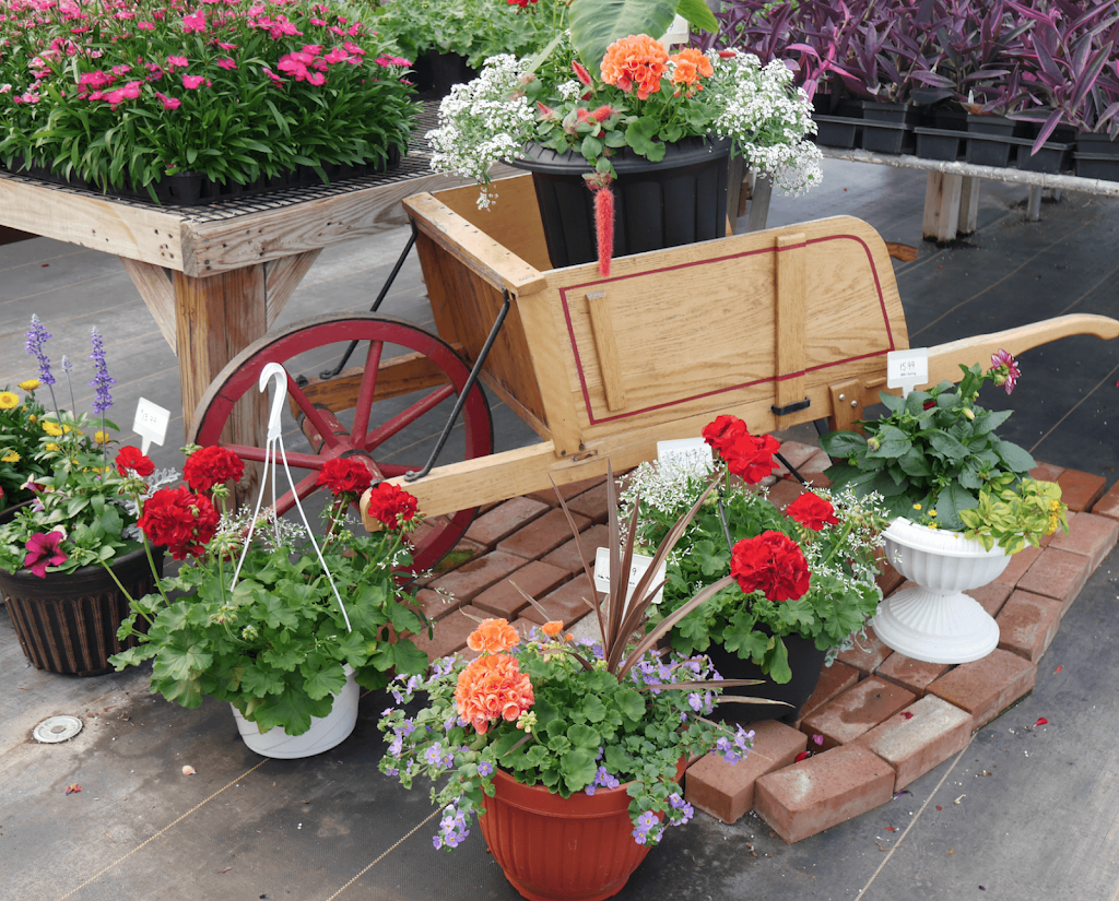 Serenity Ridge Greenhouse | 160 Bethany Rd, Ephrata, PA 17522, USA | Phone: (717) 859-6594