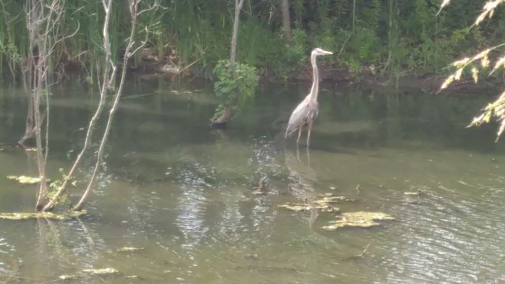 Ken Good Park | Carrollton, TX 75006, USA