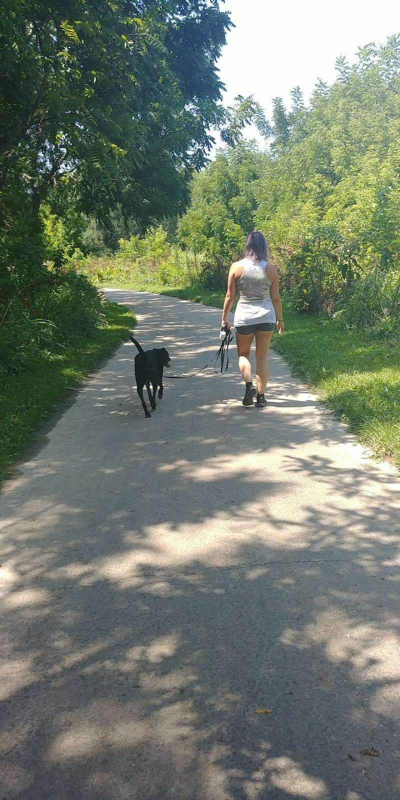 Forest Creek Park | Indian Creek Trail, Overland Park, KS 66213, USA | Phone: (913) 895-6000