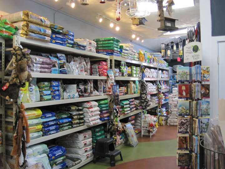 Essex Bird & Pet Supply | 121r Eastern Ave, Essex, MA 01929, USA | Phone: (978) 768-7408