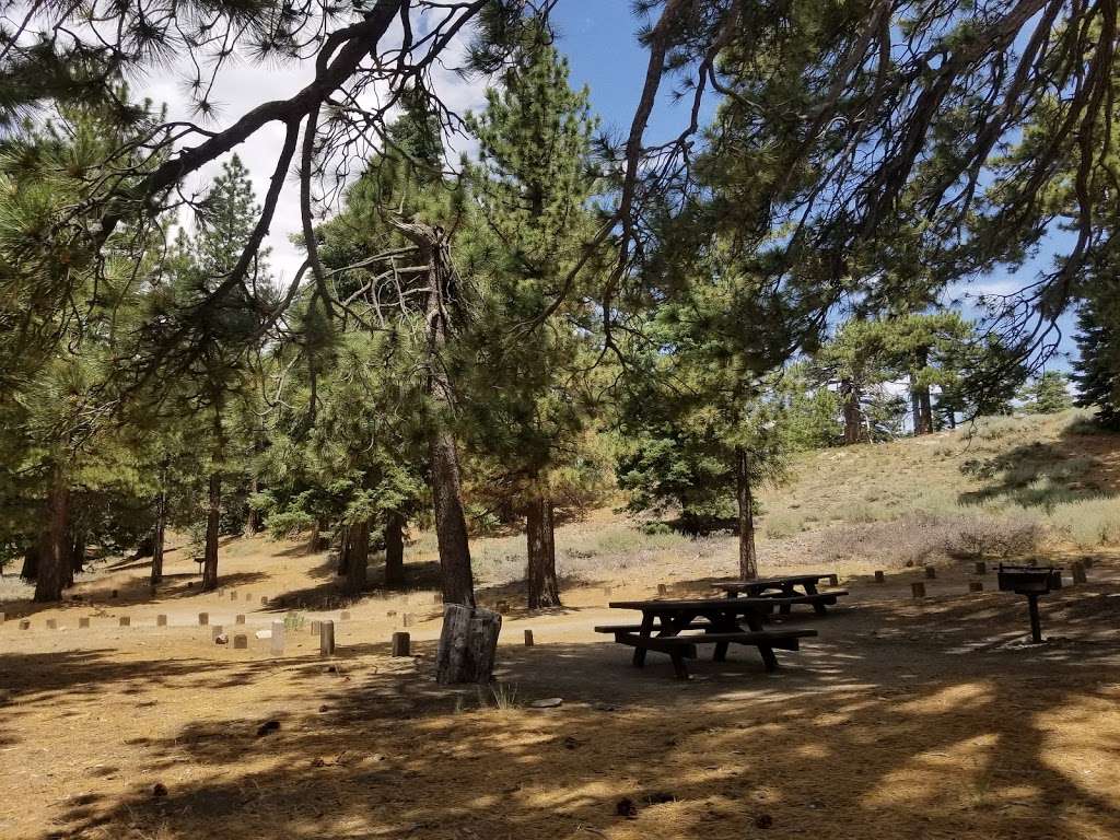 Paradise Springs - Big Rock Creek Campground | 18101 Paradise Dr, Valyermo, CA 93563, USA | Phone: (661) 944-9005