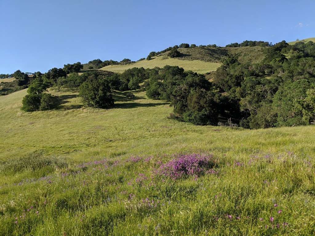 Trail from Horses Heaven to Picnic Grounds | Morgan Hill, CA 95037, USA