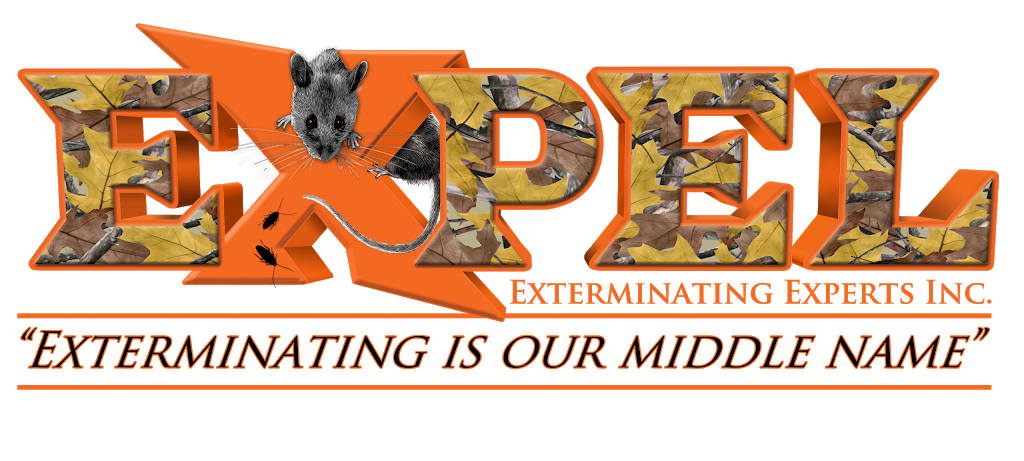 Expel Exterminating Experts, Inc. | 1130 U.S. 130 North, Burlington, NJ 08016, USA | Phone: (267) 716-7166