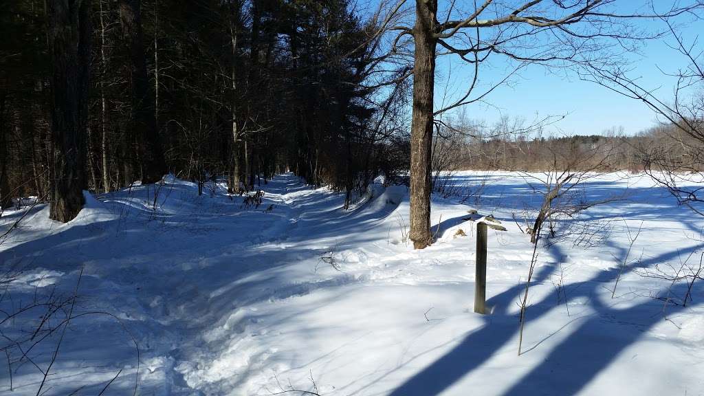 Prouty Woods Community Forest | Wilderness Rd, Littleton, MA 01460, USA | Phone: (978) 952-6856