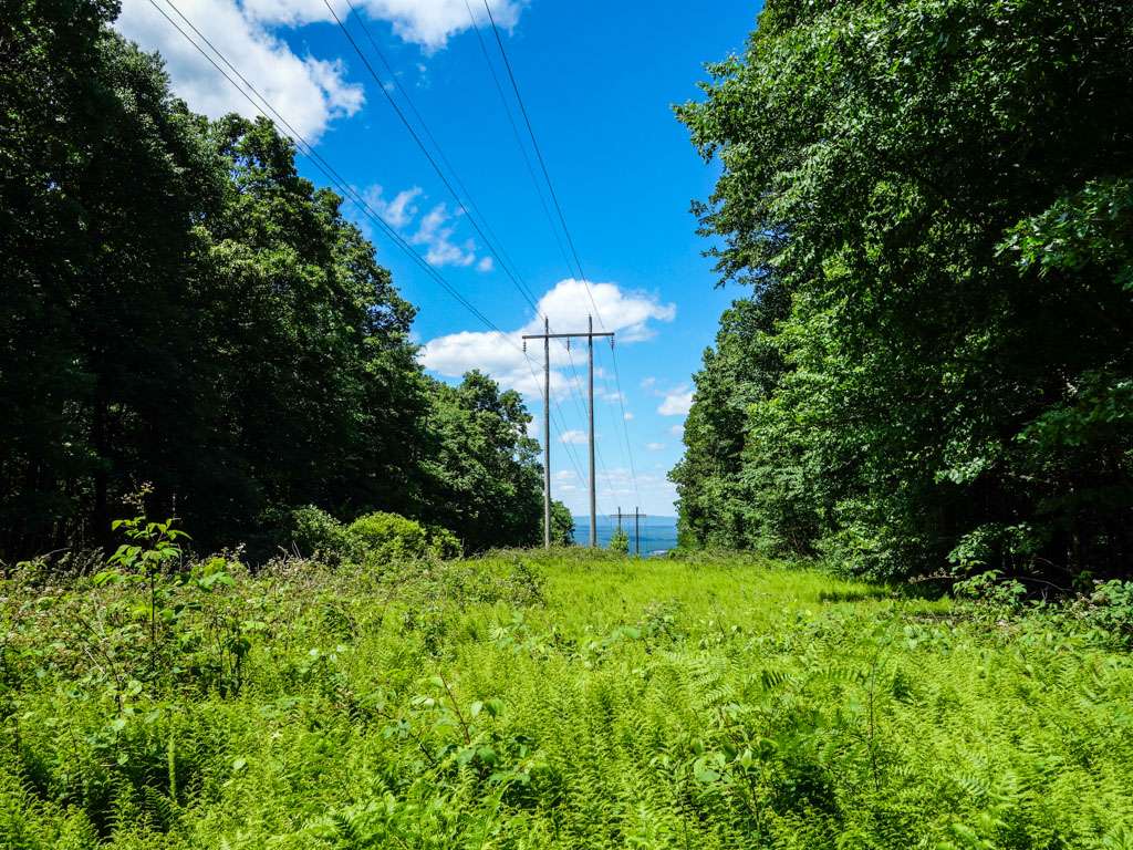 Appalachian Trail - Fox Gap | Appalachian Trail, Bangor, PA 18013