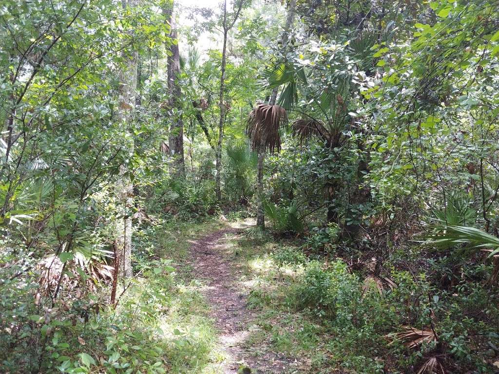 Beresford Trails | 703000000240, DeLand, FL 32720, USA