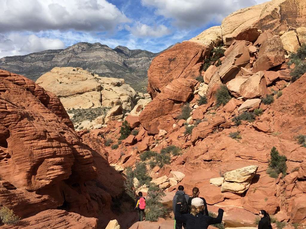 Escape Adventures Bike Tours | 10575 Discovery Dr, Las Vegas, NV 89147, USA | Phone: (702) 596-2953