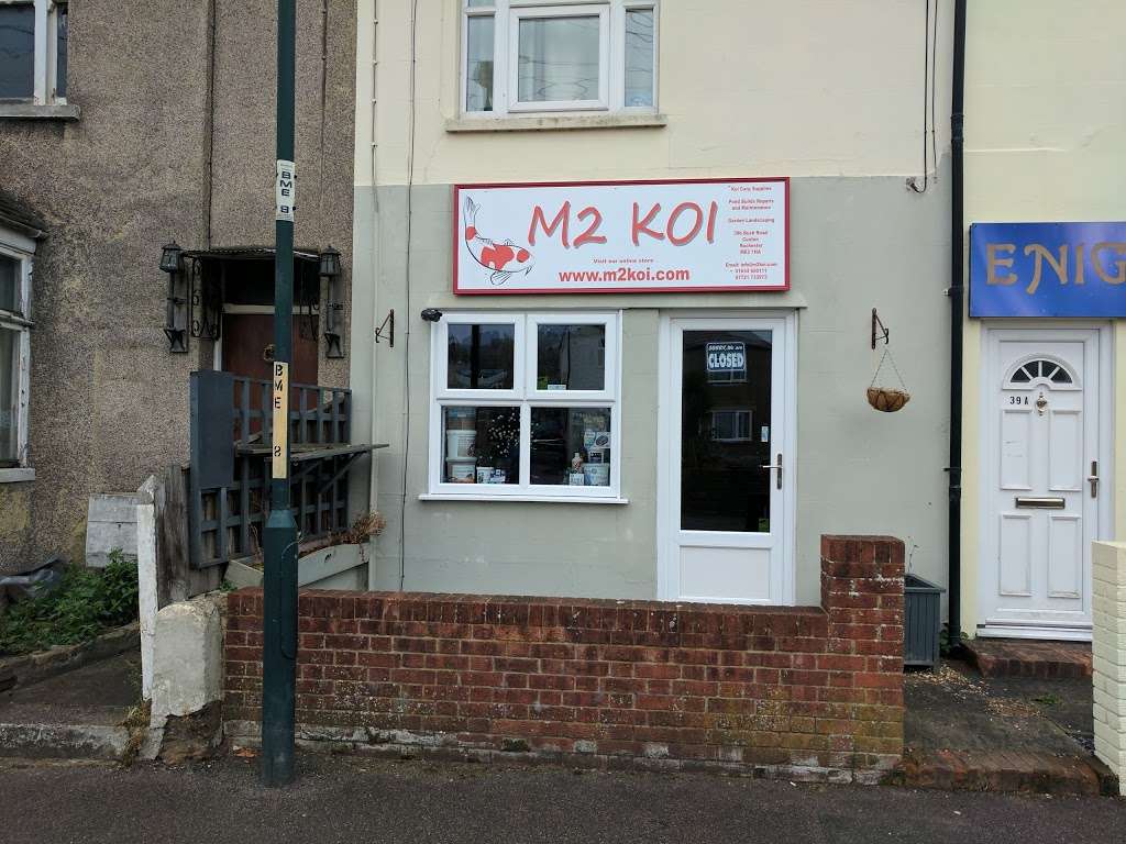 M2 Koi | 39B Bush Road Cuxton, Rochester, Cuxton, Rochester ME2 1LP, UK | Phone: 01634 650111