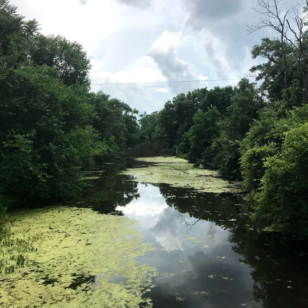 William G. Stratton State Park, Griggs Dr, Morris, IL 60450, USA