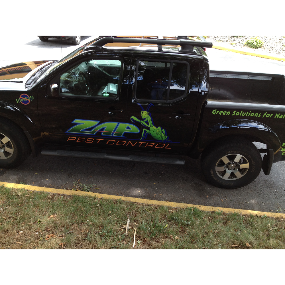 Zap Pest Control LLC | 1176 Middletown Rd, Media, PA 19063, USA | Phone: (610) 565-4151