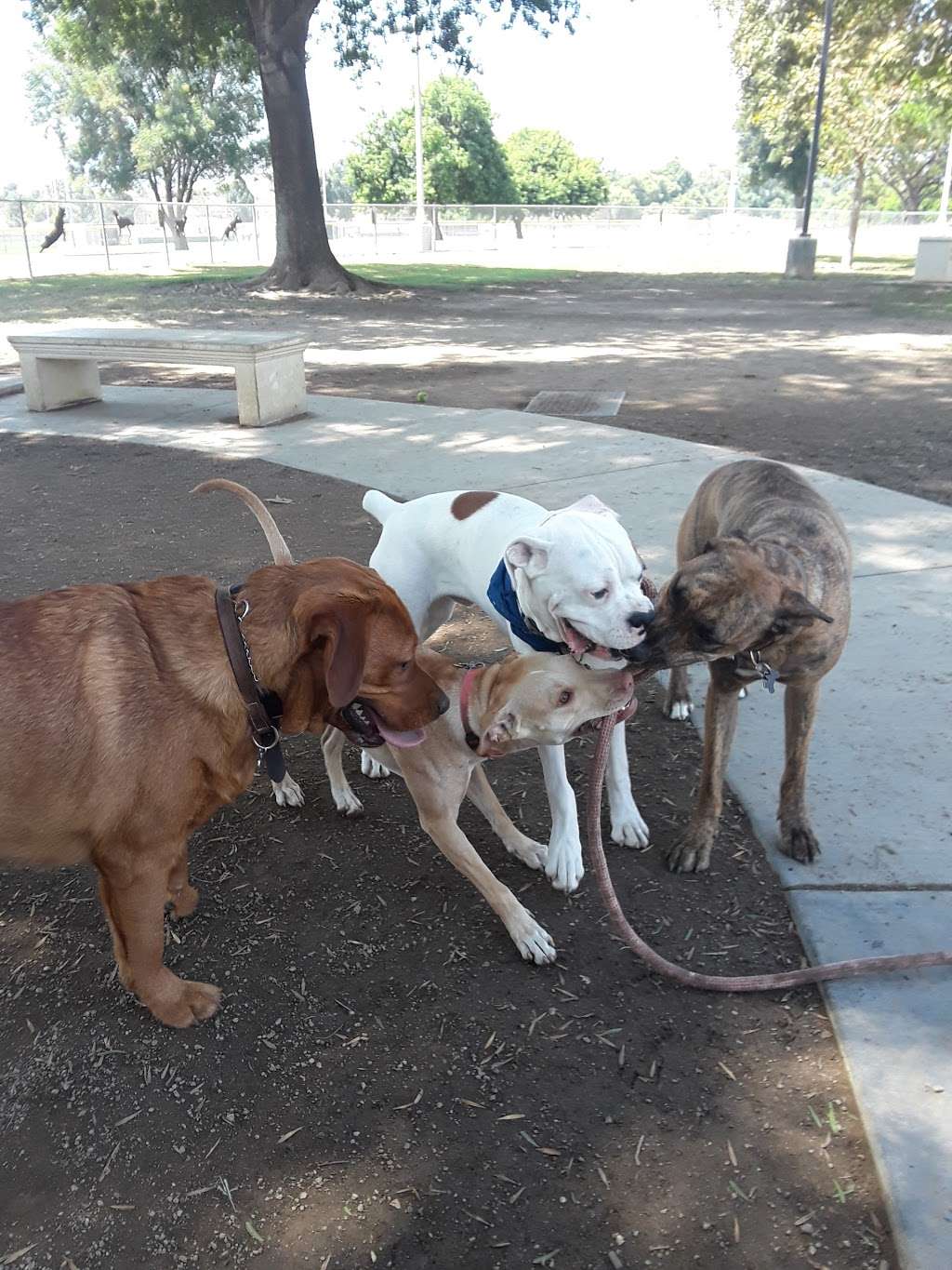 Corona Dog Park | 1886 Butterfield Dr, Corona, CA 92880 | Phone: (951) 736-2400