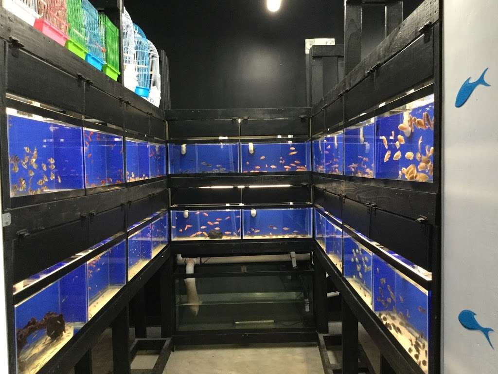 Aqua Novik Tropical Fish & Pets | 8350 Fry Rd, Cypress, TX 77433, USA | Phone: (281) 213-4687