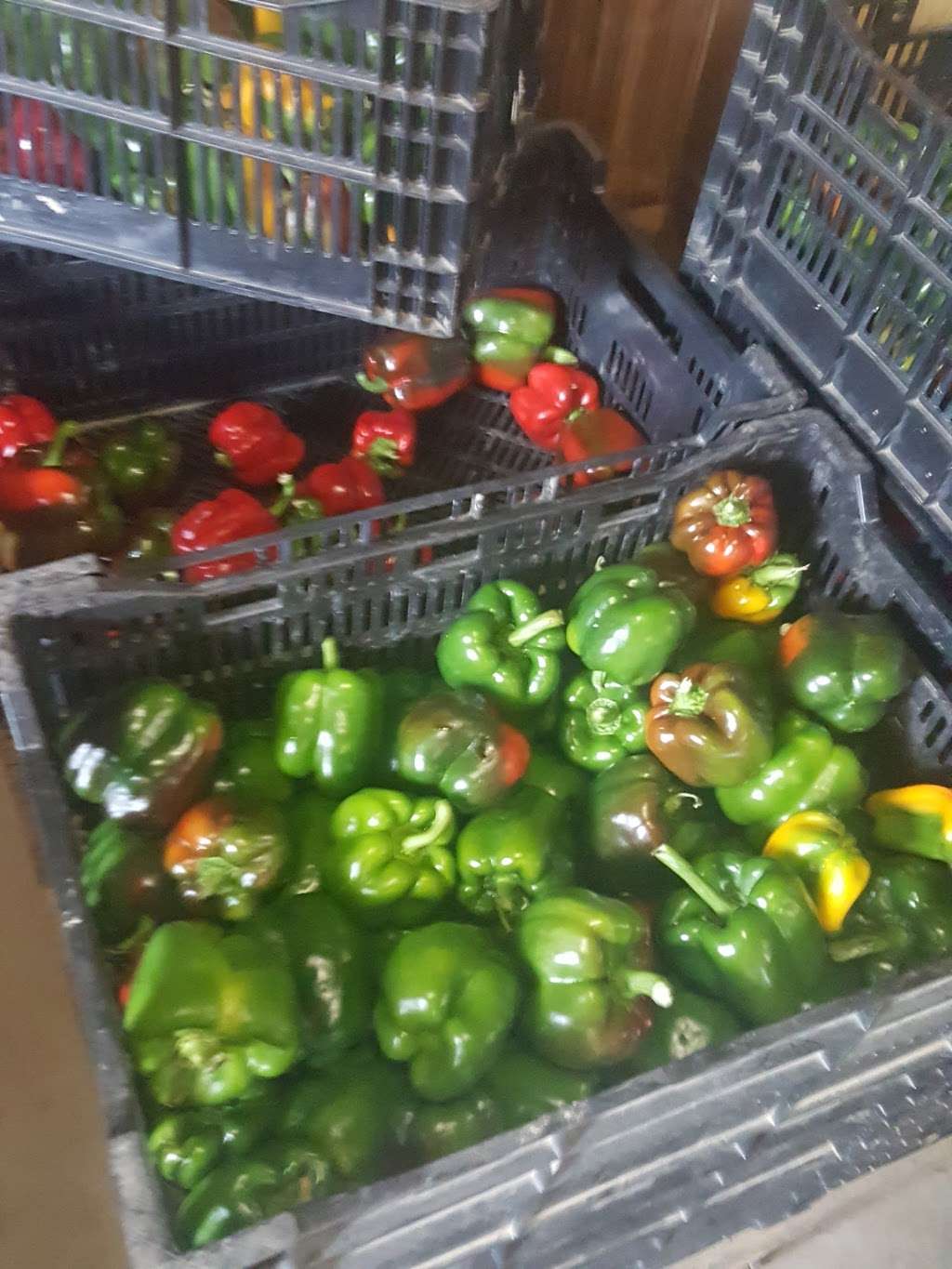 Gorman Produce Farm | 10151 Gorman Rd, Laurel, MD 20723 | Phone: (301) 908-8063