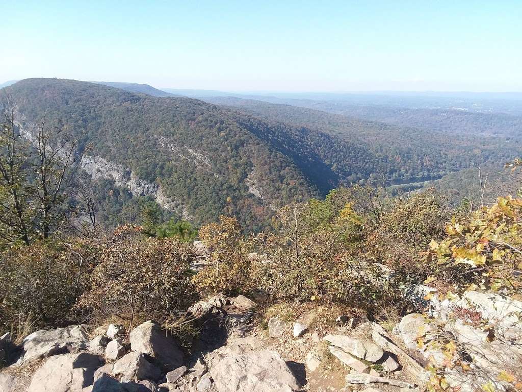 Mt Tammany | Unnamed Rd,, Columbia, NJ 07832, USA