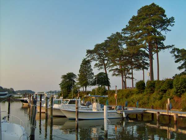 Smith Point Marina | 989 Smith Point Rd, Reedville, VA 22539, USA | Phone: (804) 453-4077