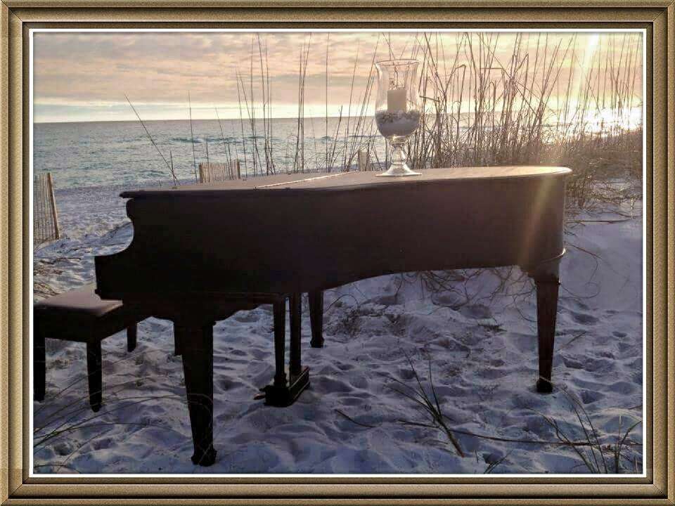 Piano Trends Music Company | 35 Berkshire Dr #5, Crystal Lake, IL 60014, USA | Phone: (815) 564-2773
