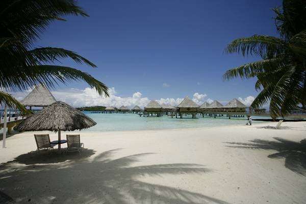 Honeymoons-in-Paradise / 5-Star-Vacations | 3921 Plateau Pl, Escondido, CA 92025, USA | Phone: (760) 432-6045