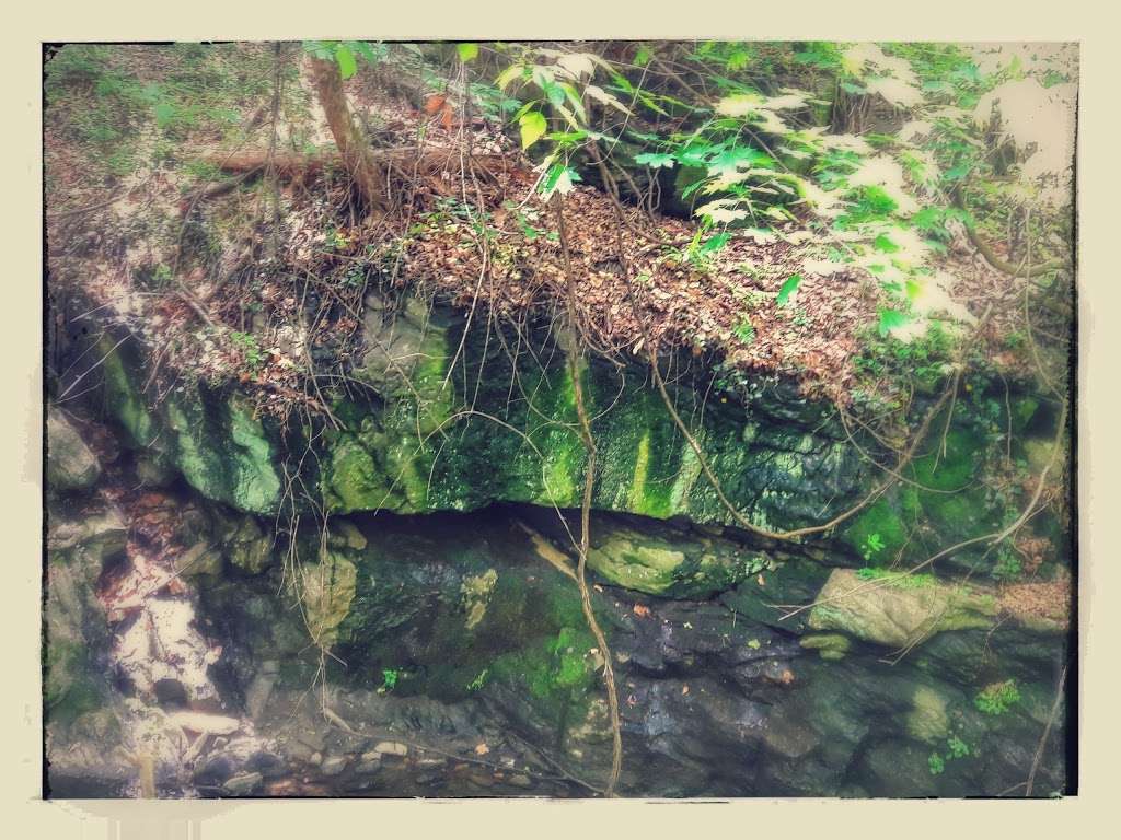 Emlen Meadow | 7306 Emlen St, Philadelphia, PA 19119, USA