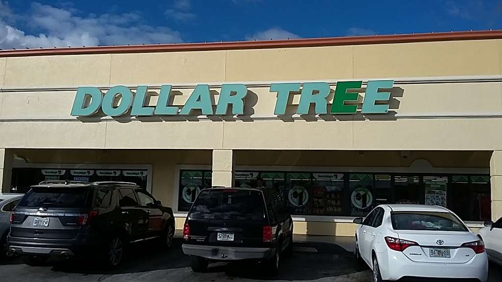 Dollar Tree | 2557 Old Vineland Rd, Kissimmee, FL 34746, USA | Phone: (407) 397-0488