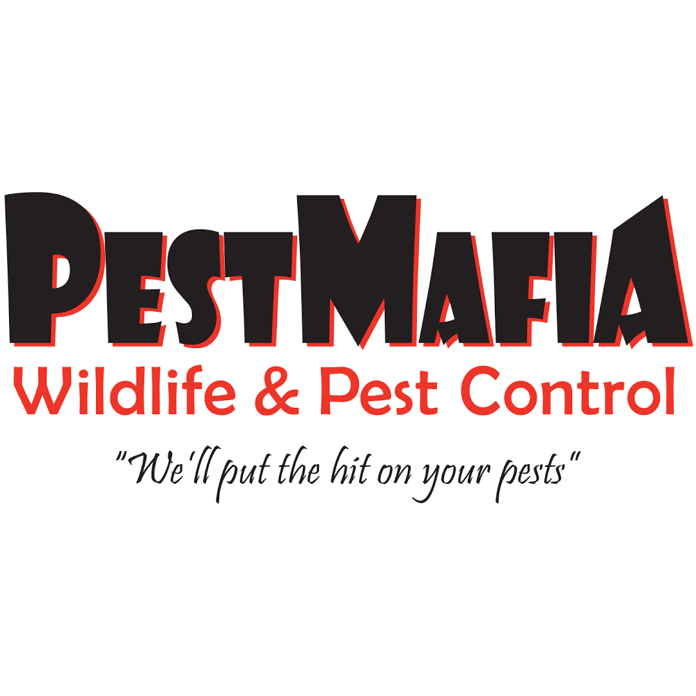 Pest Mafia | 6626 Sunburst Ave, Longmont, CO 80504 | Phone: (303) 990-1218