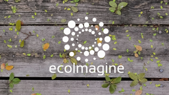 ecoimagine | Richmond Cir, Lexington, MA 02421, USA | Phone: (800) 785-5849