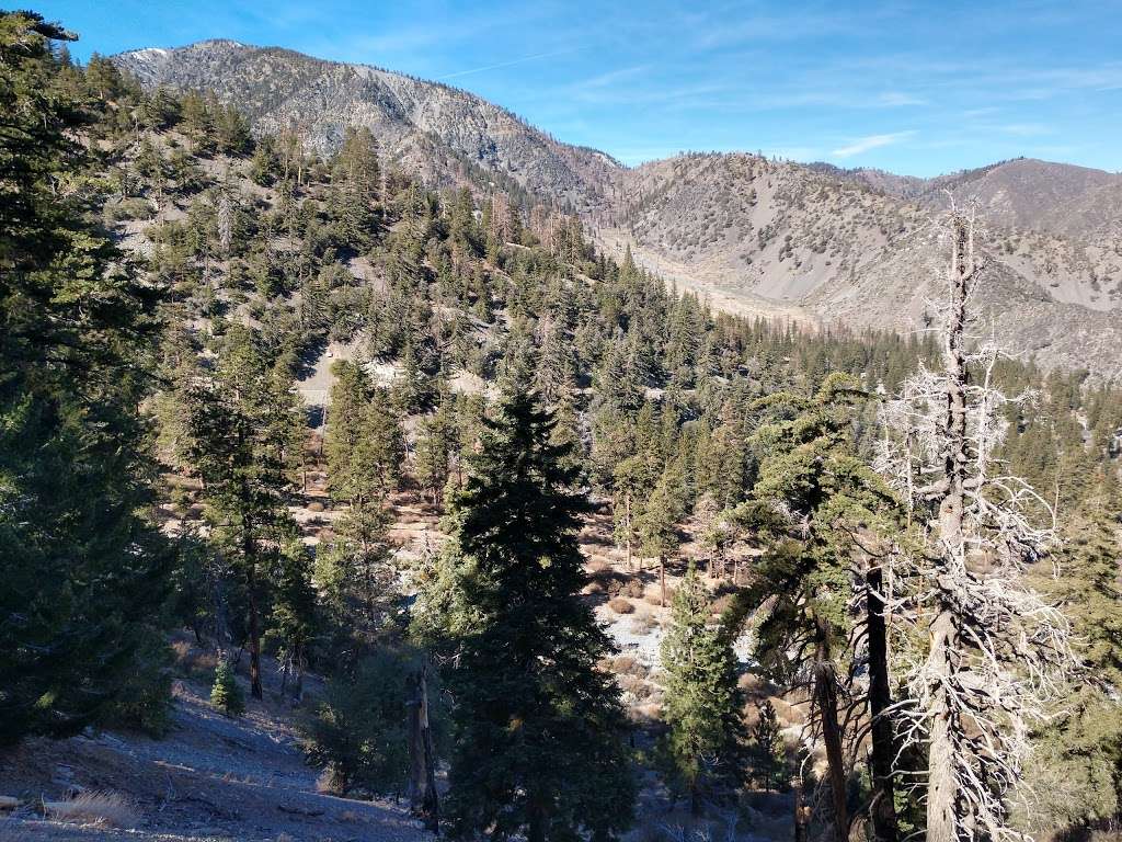 Big Horn Campground | Lytle Creek, CA 92358