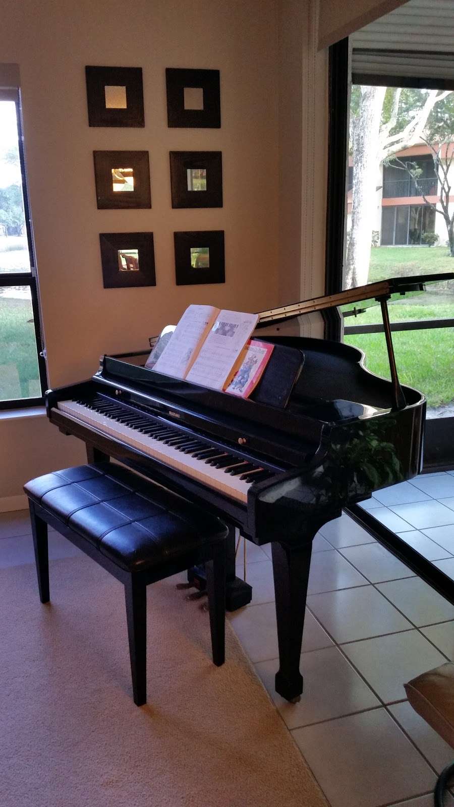 Piano lessons by Rhonda | 4171 Carambola Cir S, Coconut Creek, FL 33066, USA | Phone: (954) 729-6494