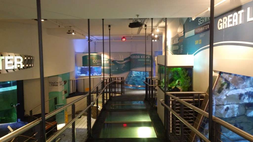 Reiman Aquarium | 500 N Harbor Dr, Milwaukee, WI 53202, USA | Phone: (414) 765-9966