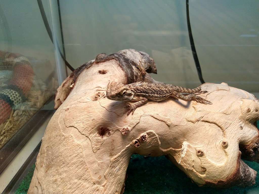 Marine Dog Pet Supplies | 1350 Hicksville Rd, Massapequa, NY 11758, USA | Phone: (516) 797-7738