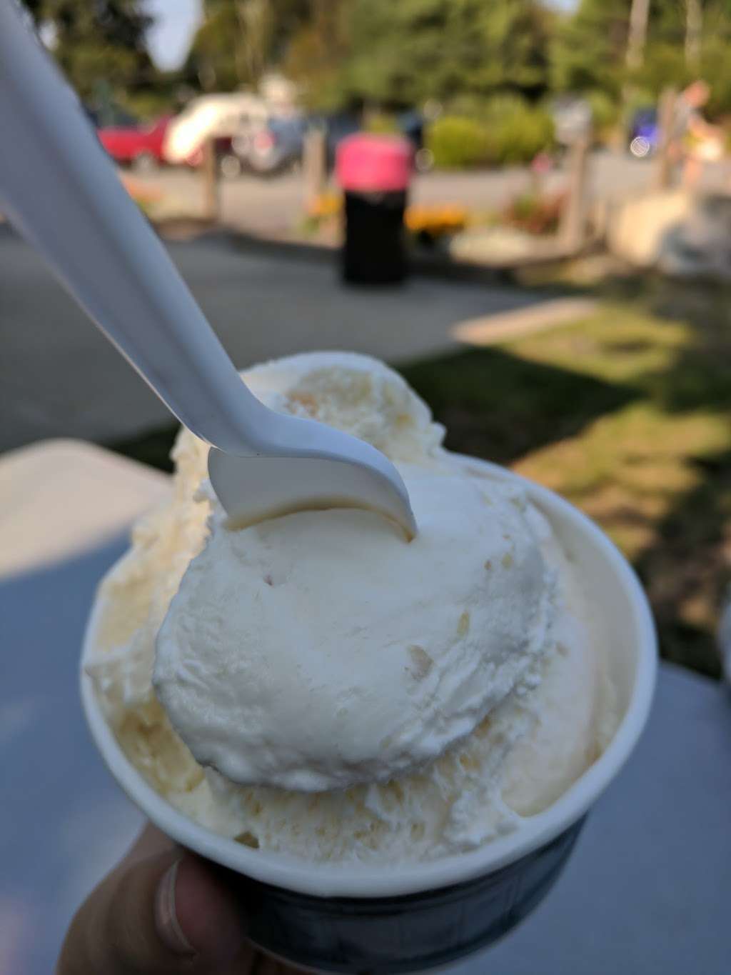 White Farms Ice Cream | 326 High St, Ipswich, MA 01938, USA | Phone: (978) 356-2633