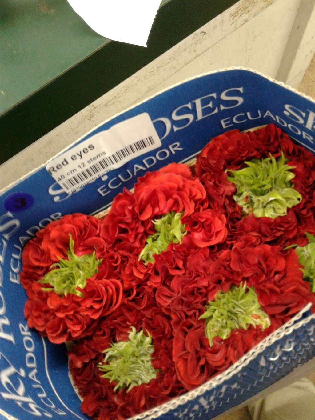 Greenleaf Wholesale Florists | 2777 Irving Blvd # 100, Dallas, TX 75207, USA | Phone: (214) 631-7949