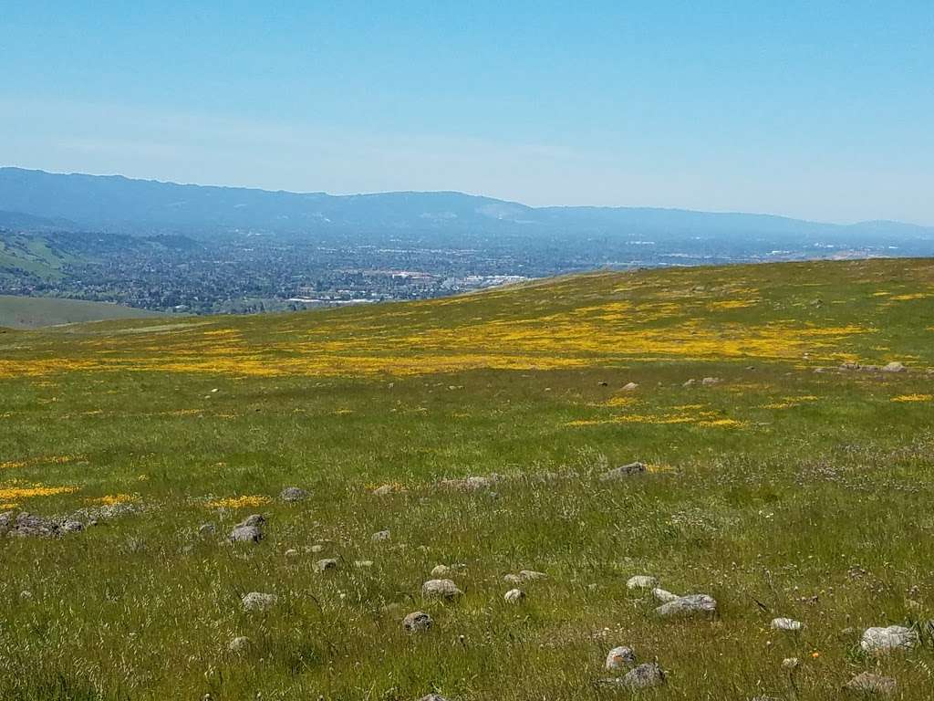 Coyote Ridge Open Space Preserve | 9611 Malech Rd, Morgan Hill, CA 95037, USA