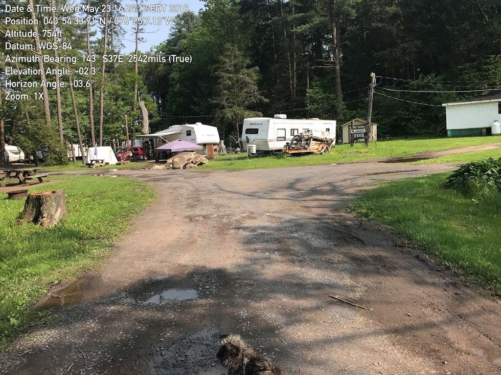 Springbrook Family Campground | 675 Numidia Dr, Catawissa, PA 17820, USA | Phone: (570) 799-5118