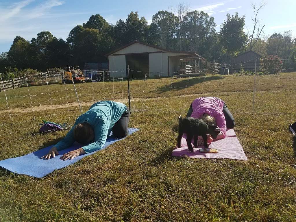 GoatToBeZen Yoga | 5811 Sunderland Ct, Sunderland, MD 20689 | Phone: (443) 684-4316