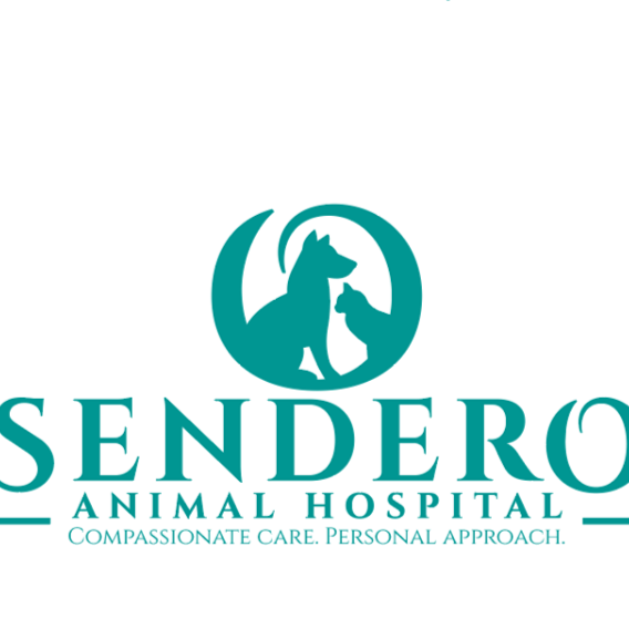 Sendero Animal Hospital | 30703 Gateway Pl, Ladera Ranch, CA 92694, USA | Phone: (949) 226-5597