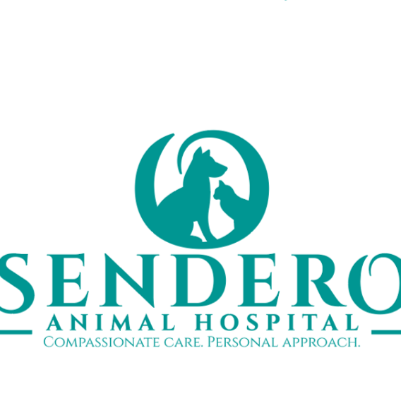 Sendero Animal Hospital | 30703 Gateway Pl, Ladera Ranch, CA 92694 | Phone: (949) 226-5597