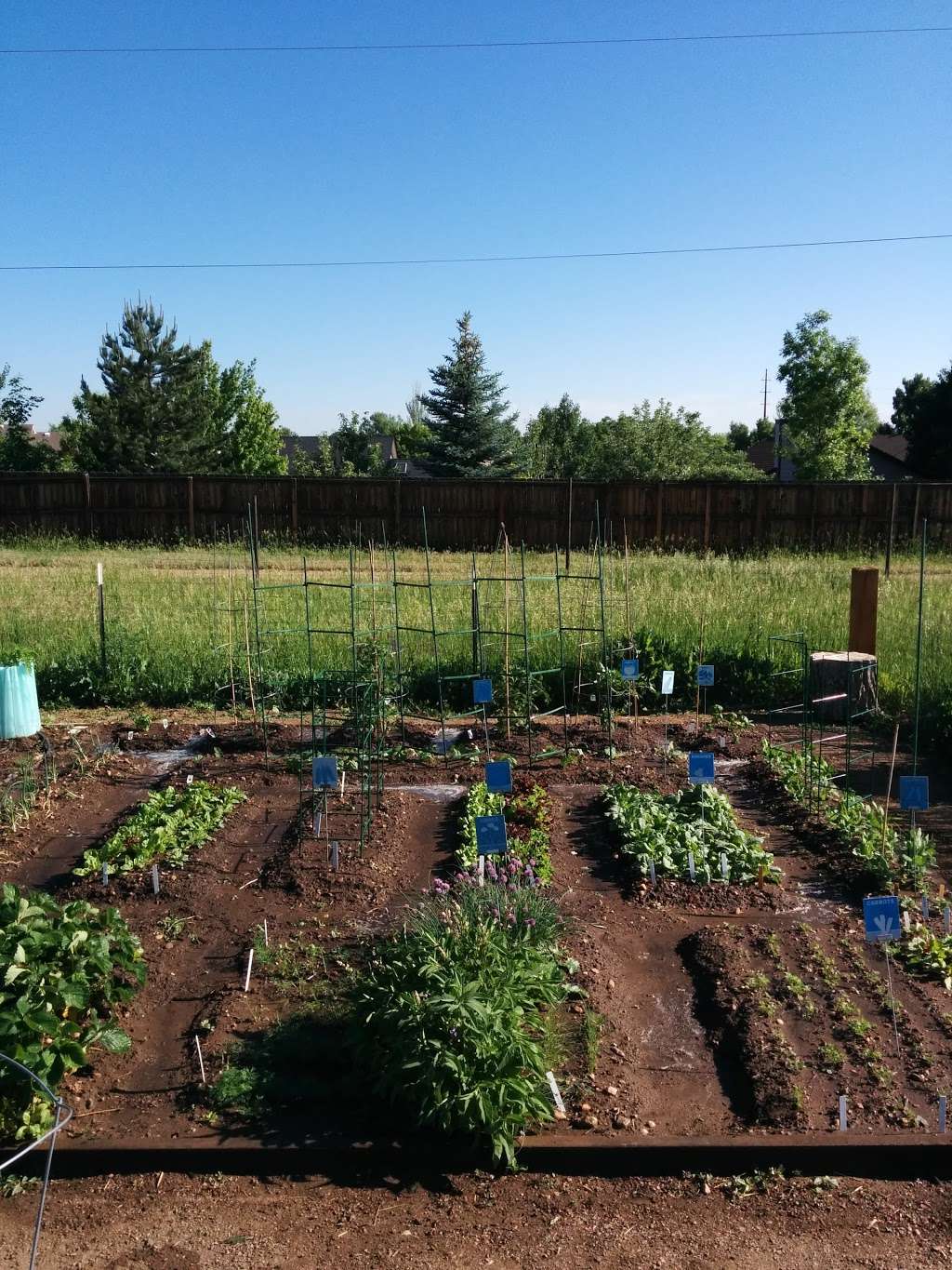 Rose Roots Community Garden | 12920 W 84th Ave, Arvada, CO 80005