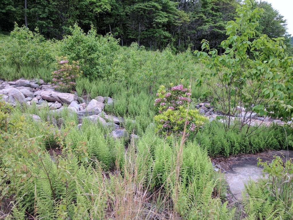 Woodpecker Trailhead | Appalachian Trail, Slatington, PA 18080