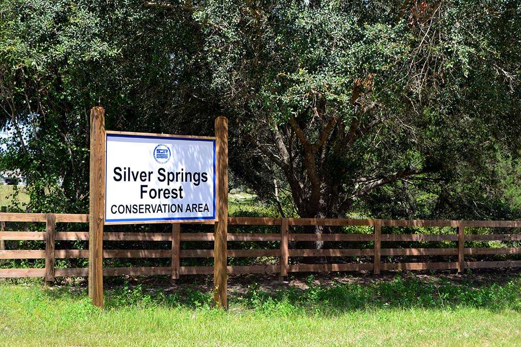 Silver Springs Forest Conservation Area | 6381 E, FL-326, Silver Springs, FL 34488, USA | Phone: (386) 329-4404