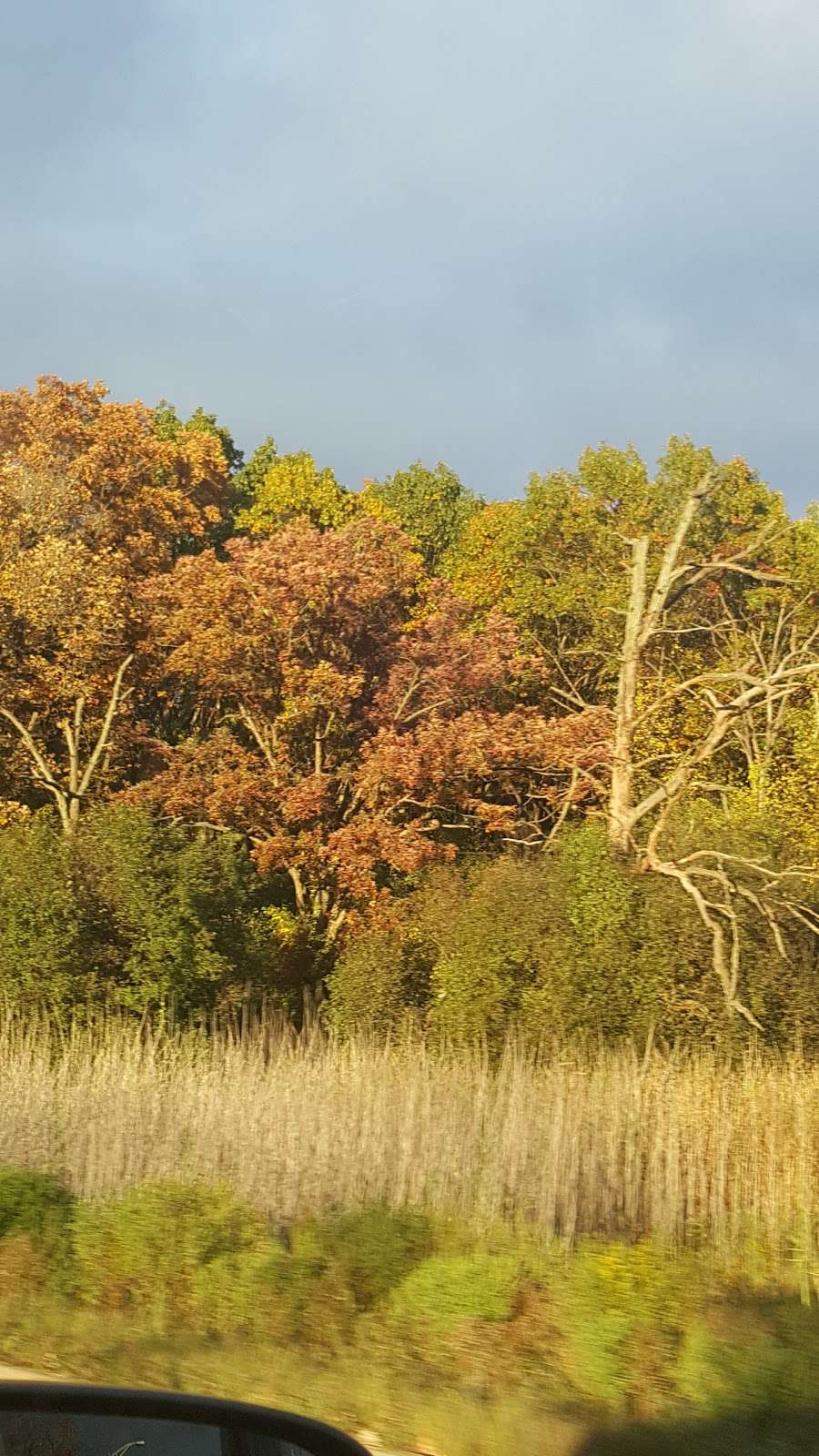 Tinley Creek | 14113 S Harlem Ave, Orland Park, IL 60462, USA