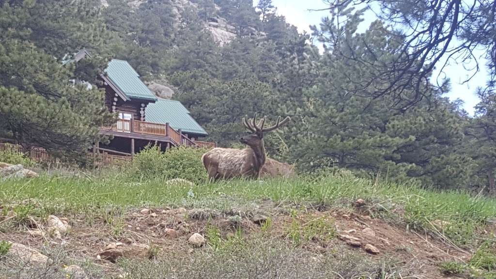 Estes Park United Methodist Church | 1509 Fish Hatchery Rd, Estes Park, CO 80517, USA | Phone: (970) 586-4153