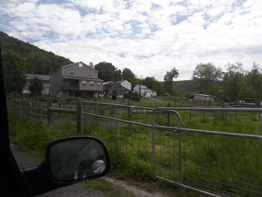 4UDVDs | 18132 Spring Run Rd, Spring Run, PA 17262, USA | Phone: (717) 977-5501