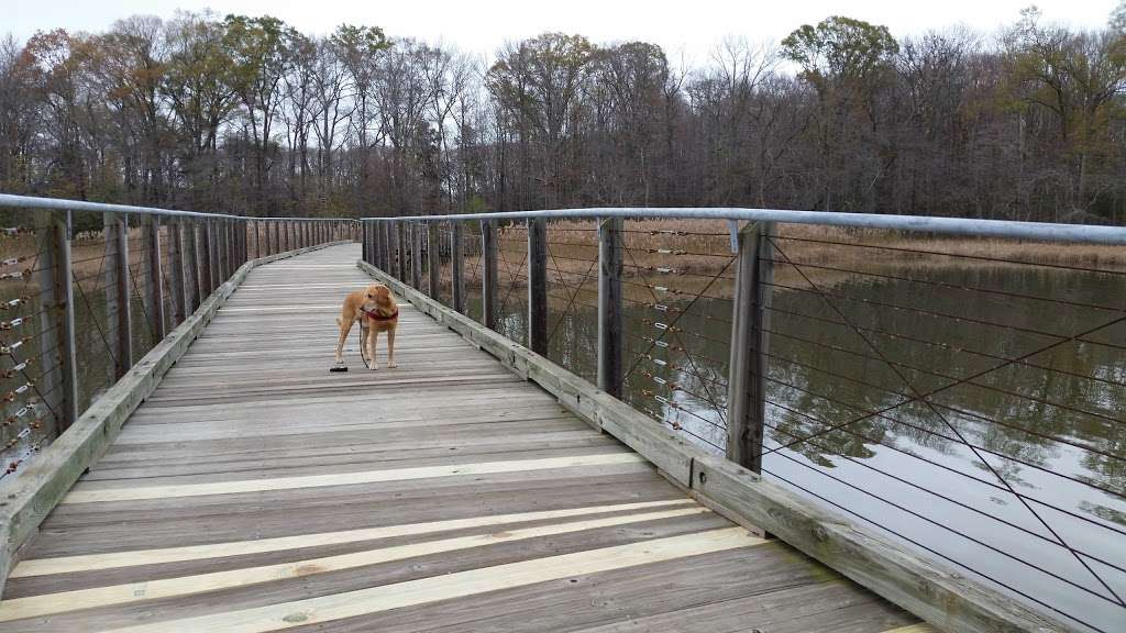 Dundee Natural Environment Area | Middle River, MD 21220, USA