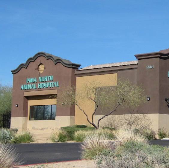 Pima North Animal Hospital | 8864 E Pinnacle Peak Rd Suite K-1, Scottsdale, AZ 85255, USA | Phone: (480) 563-5432