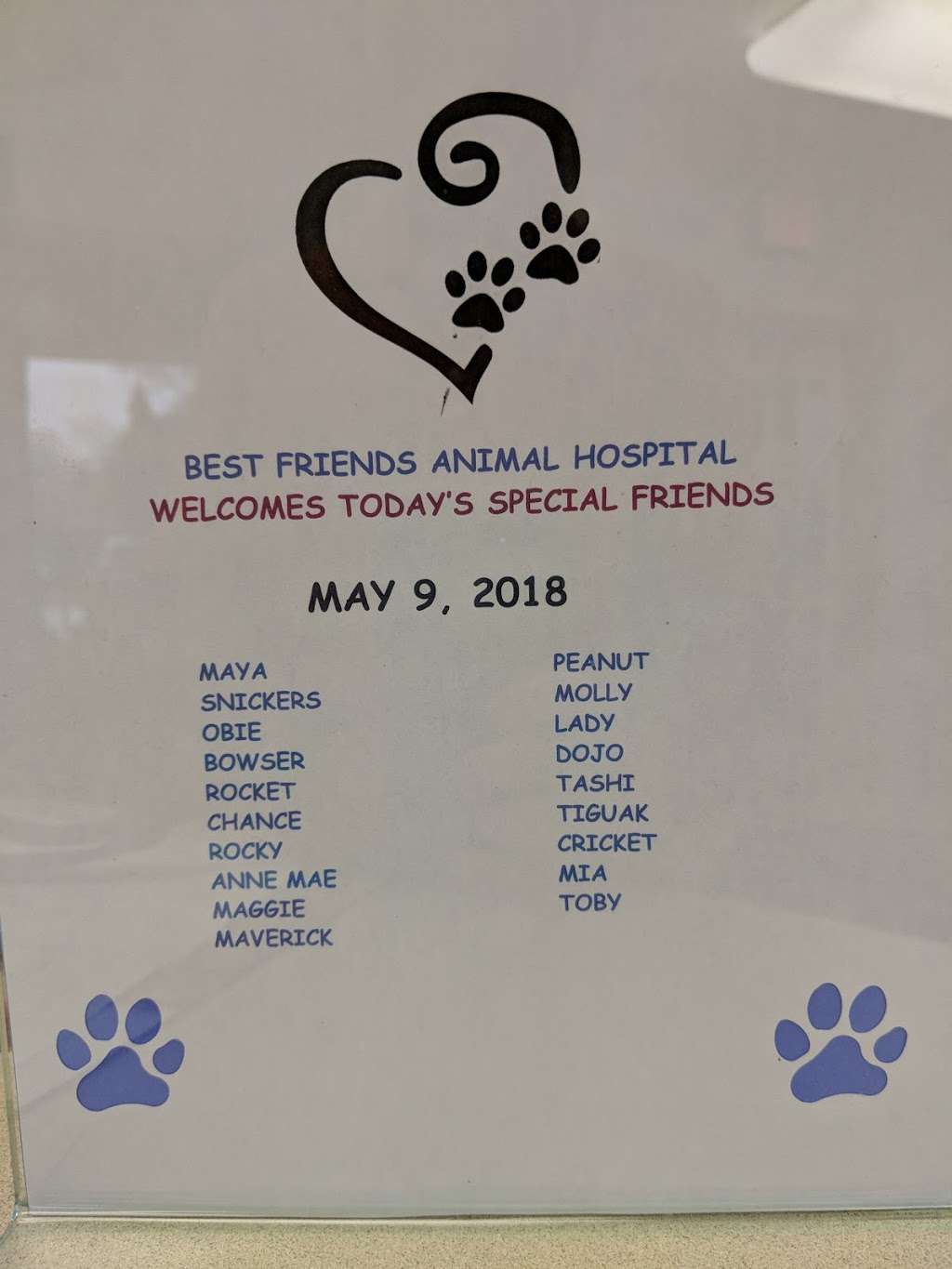 Best Friends Animal Hospital | 1203 N Illinois 83, Grayslake, IL 60030, USA | Phone: (847) 548-2626