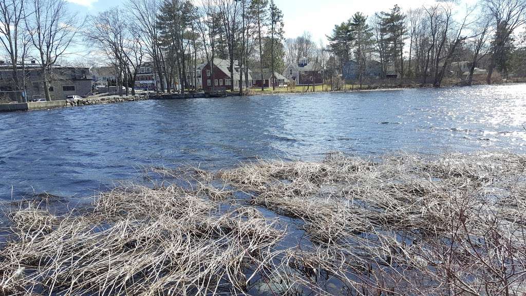 Mill Pond Park - 13 Pine Hill Rd, Ashland, MA 01721, USA - BusinessYab