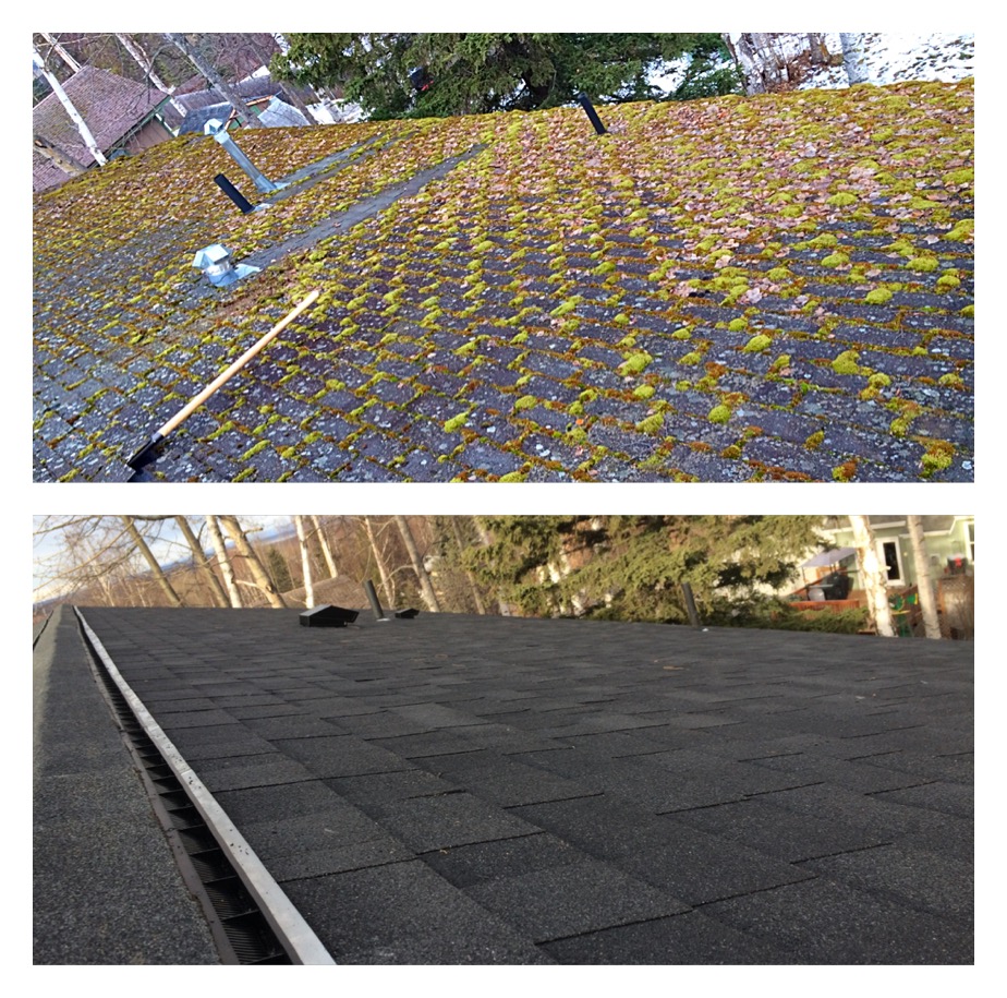 Holland Roofing Company, Inc. | 8716 Elmore Rd, Anchorage, AK 99507, USA | Phone: (907) 344-9911