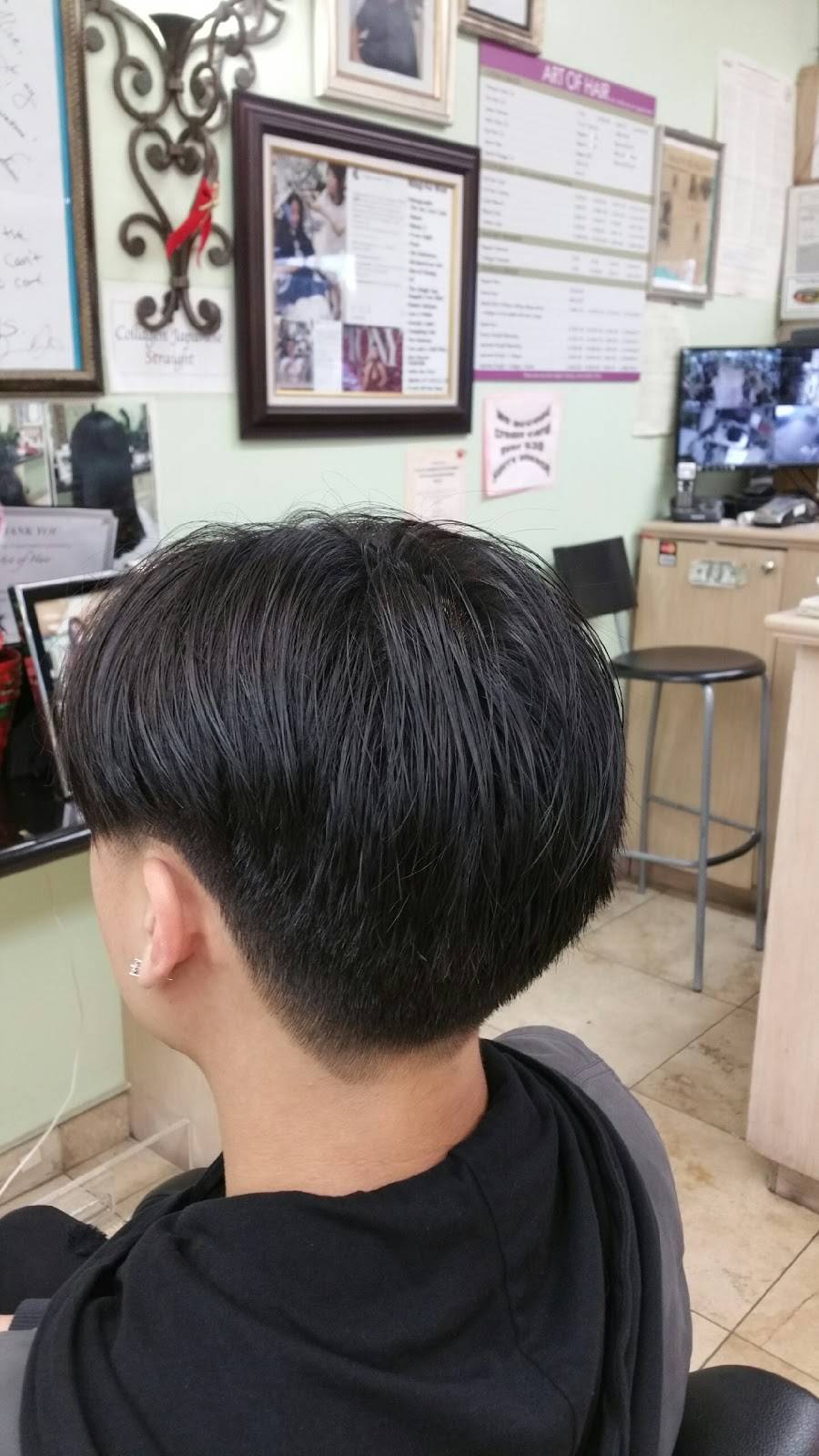 Art of Hair | 17613 Sherman Way, Van Nuys, CA 91406, USA | Phone: (818) 757-0675
